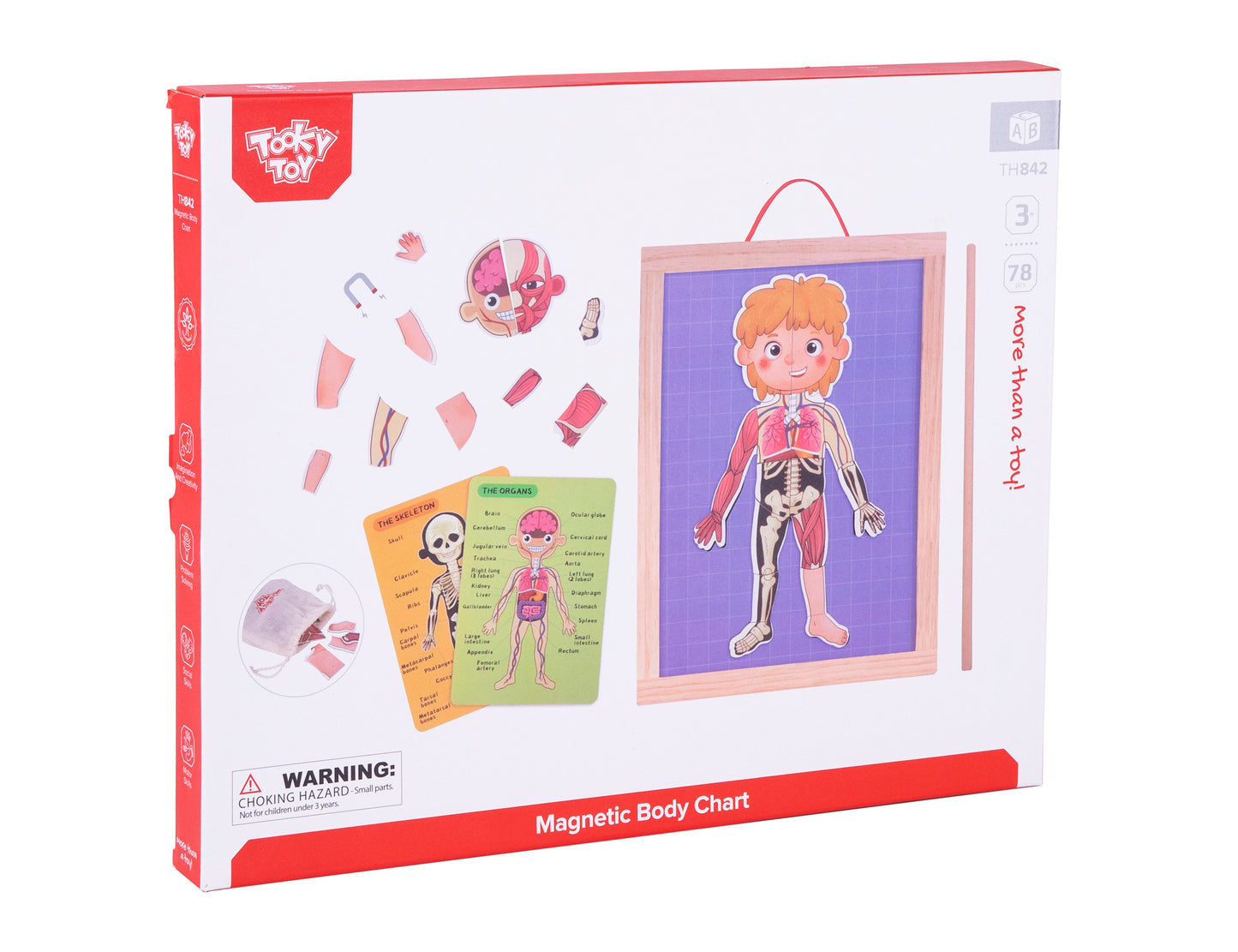 Învățați anatomia într-un mod distractiv cu jocul magnetic al corpului uman. Puzzle educativ cu organe, mușchi și schelet