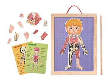 Învățați anatomia într-un mod distractiv cu jocul magnetic al corpului uman. Puzzle educativ cu organe, mușchi și schelet