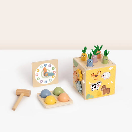 Cub educativ Montessori din lemn cu 5 activități pentru copii 18 luni+