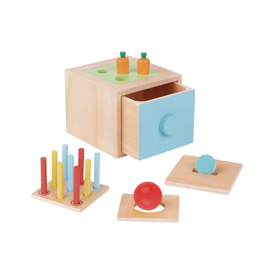 Cutia permanenței obiectului Montessori 4 în 1 din lemn pentru copii 12 luni+